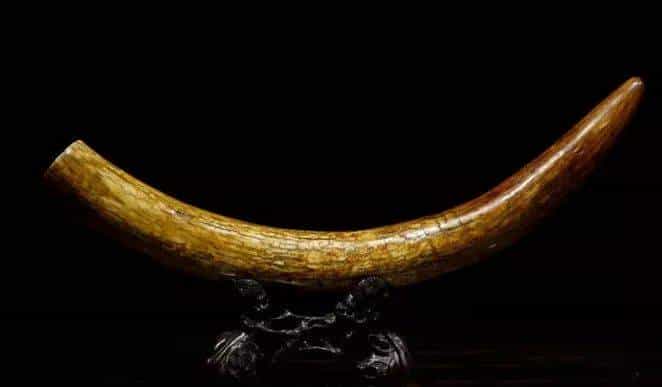 牙雕技艺竟然有7000年历史！_第1张