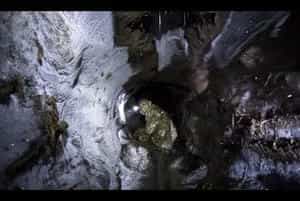 牙雕技艺竟然有7000年历史！