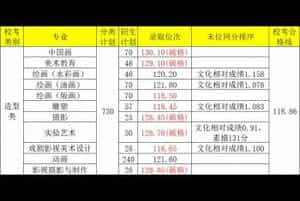 2024年四川美术学院造型类专业录取分数线